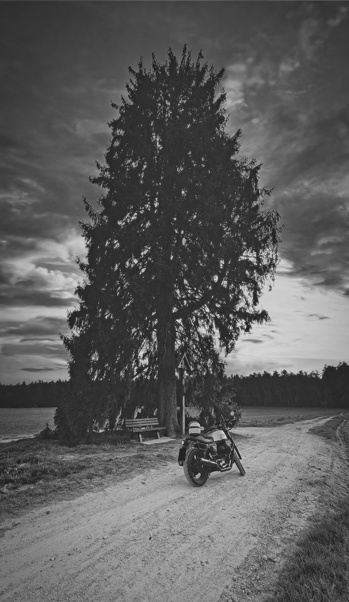 20240414 182805 Kopie Kopie